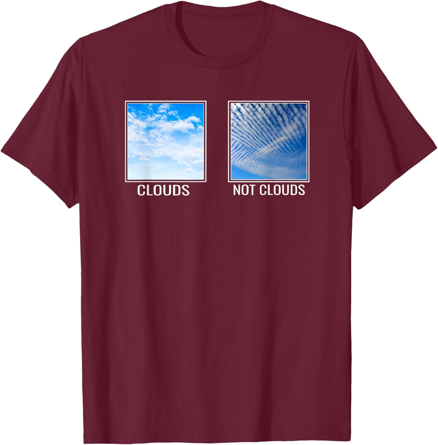 Chemtrails Awareness Aluminum Hat Conspiracy Theory T-Shirt - T-Shirt | Maroon