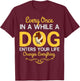 Rough Collie Dog Puppies Owner Lover T-Shirt - T-Shirt | Maroon