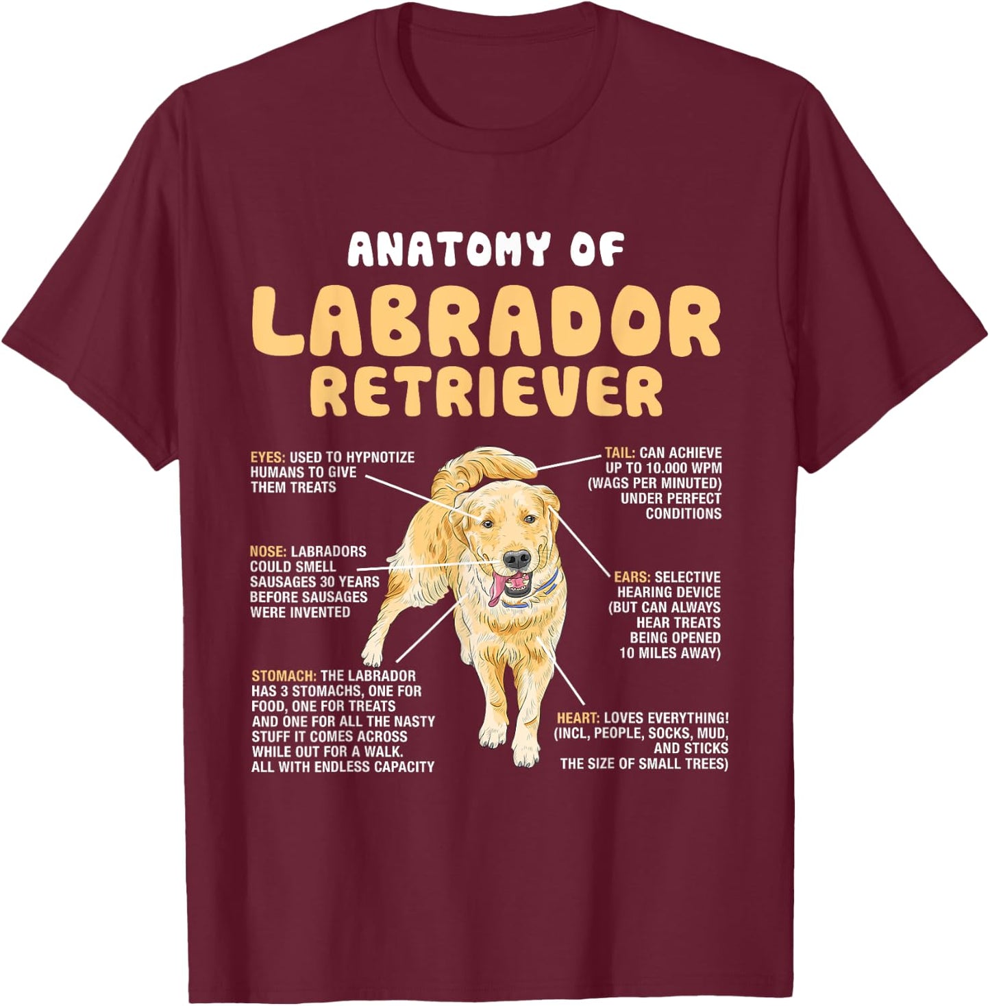 Anatomy Of Labrador Retriever Lovers Funny Lab Owners T-Shirt - T-Shirt | Maroon