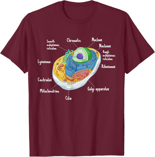Anatomy Of Cell Biology Biologist Science Student Graduation T-Shirt - T-Shirt | Maroon