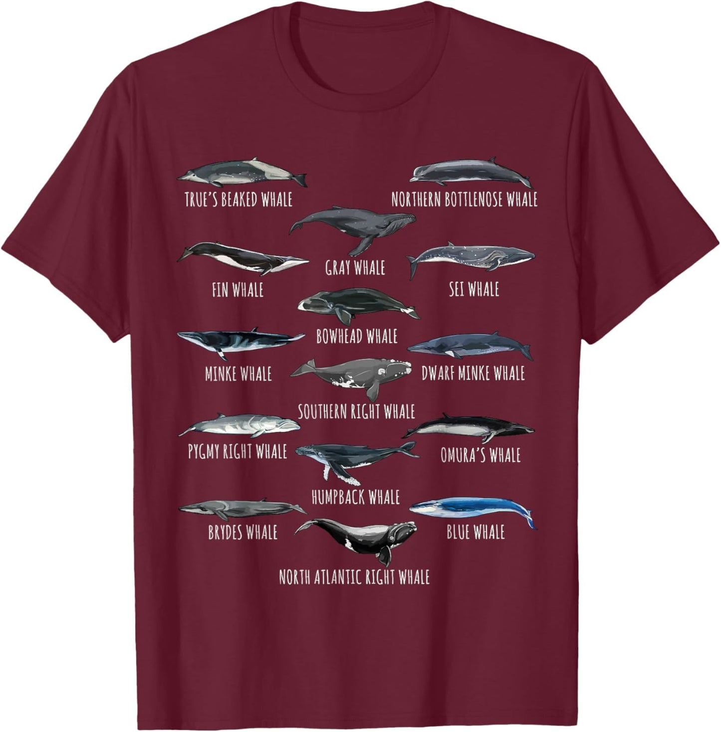 Different Whale Species Biology Types Of Whales T-Shirt - T-Shirt | Maroon