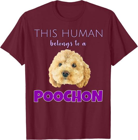 This Human belongs to a Poochon puppy dog owner gift T-Shirt - T-Shirt | Maroon