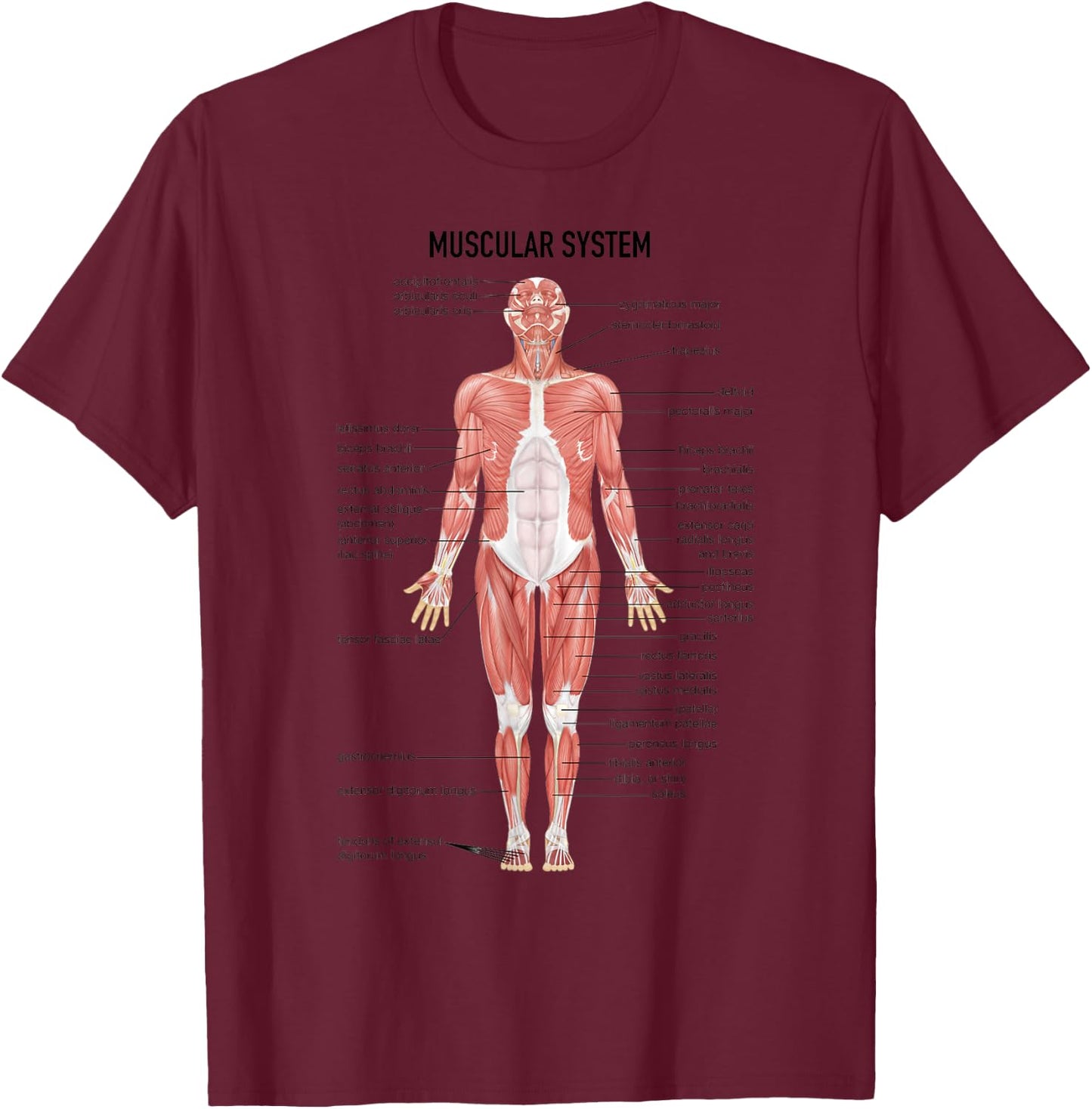 Muscular System Nurse Doctor Funny Med Medical Jokes Humor T-Shirt - T-Shirt | Maroon