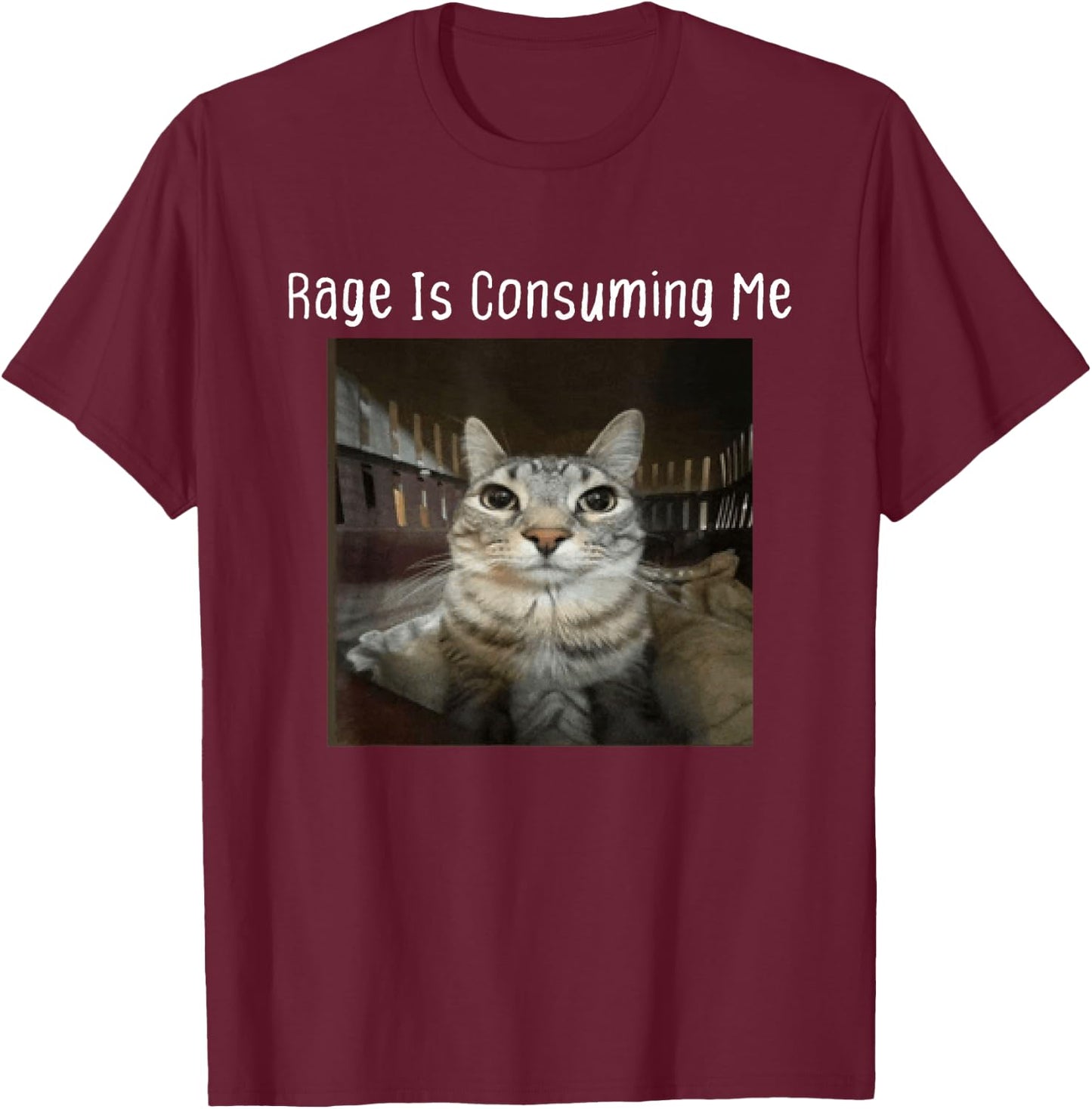 Rage Is Consuming Me Silly Staring Cat Meme T-Shirt - T-Shirt | Maroon