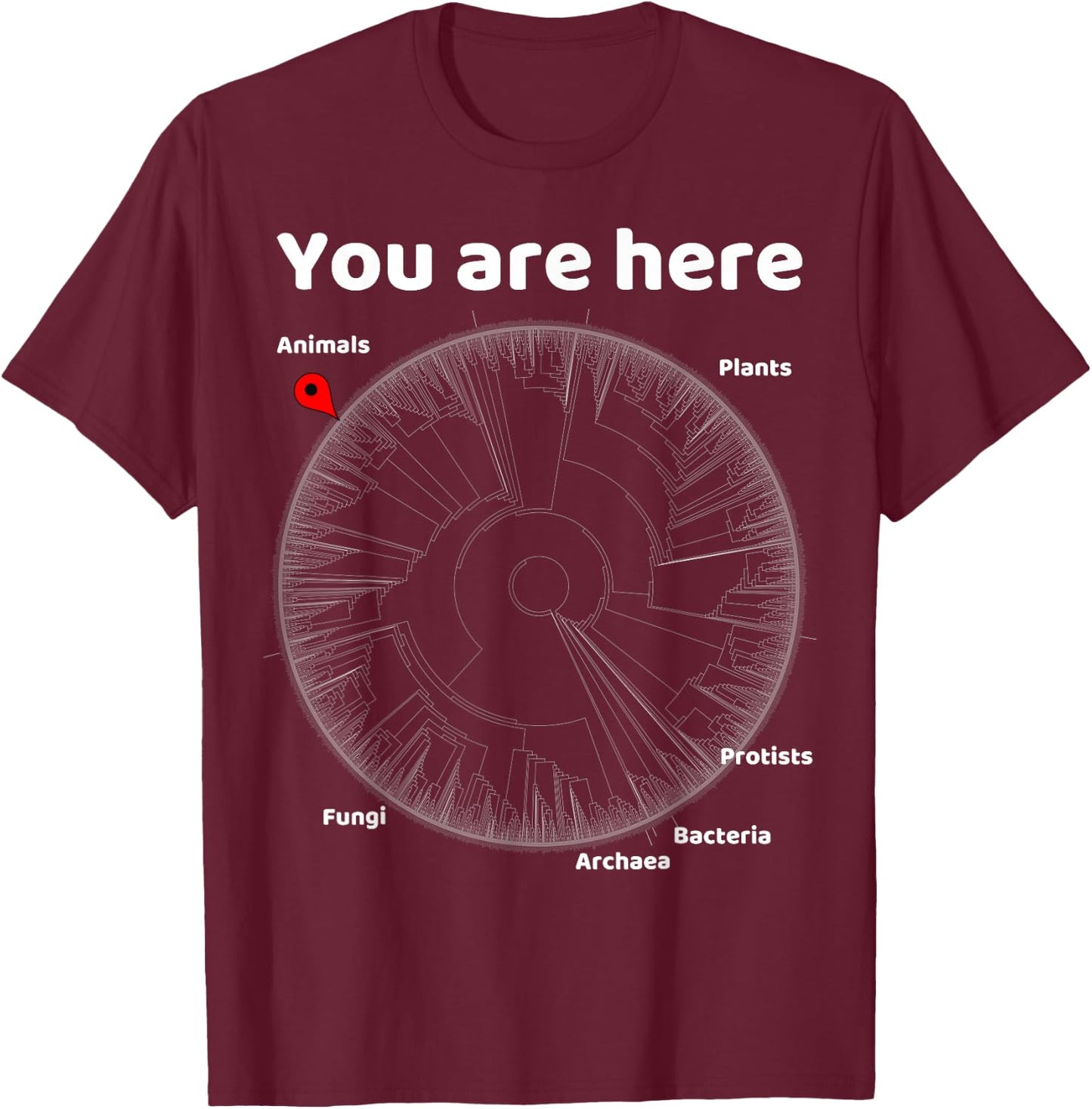 Nerdy You Are Here Tree of Life Evolution Biology Teacher T-Shirt - T-Shirt | Maroon
