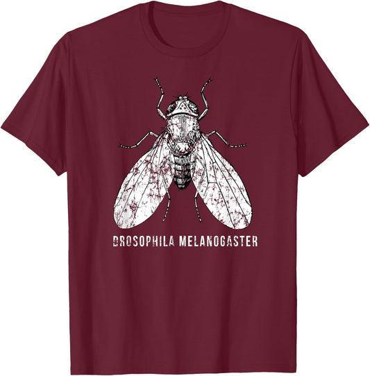 Drosophila Melanogaster for Scientists and Researchers T-Shirt - T-Shirt | Maroon