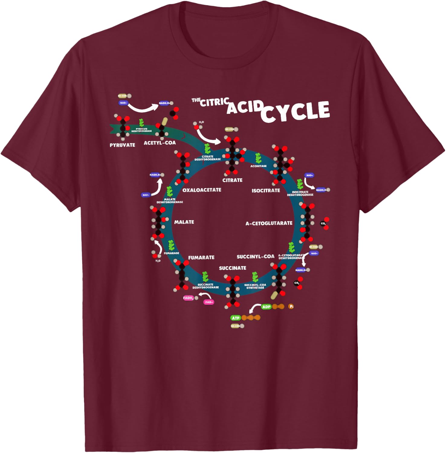 The citric acid cycle T-Shirt - T-Shirt | Maroon