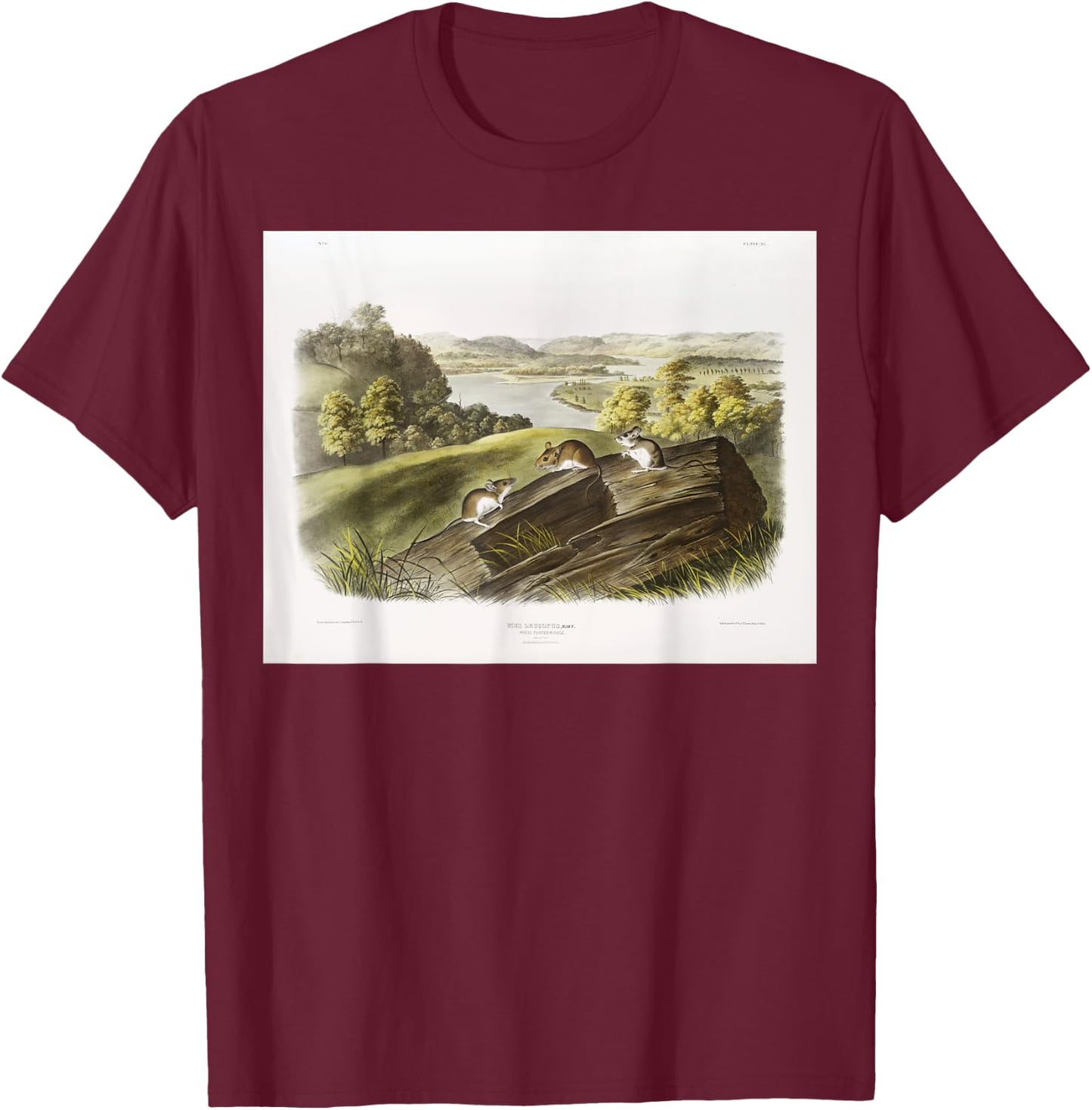 White-footed Mouse Animal Illustration & Women T-Shirt - T-Shirt | Maroon