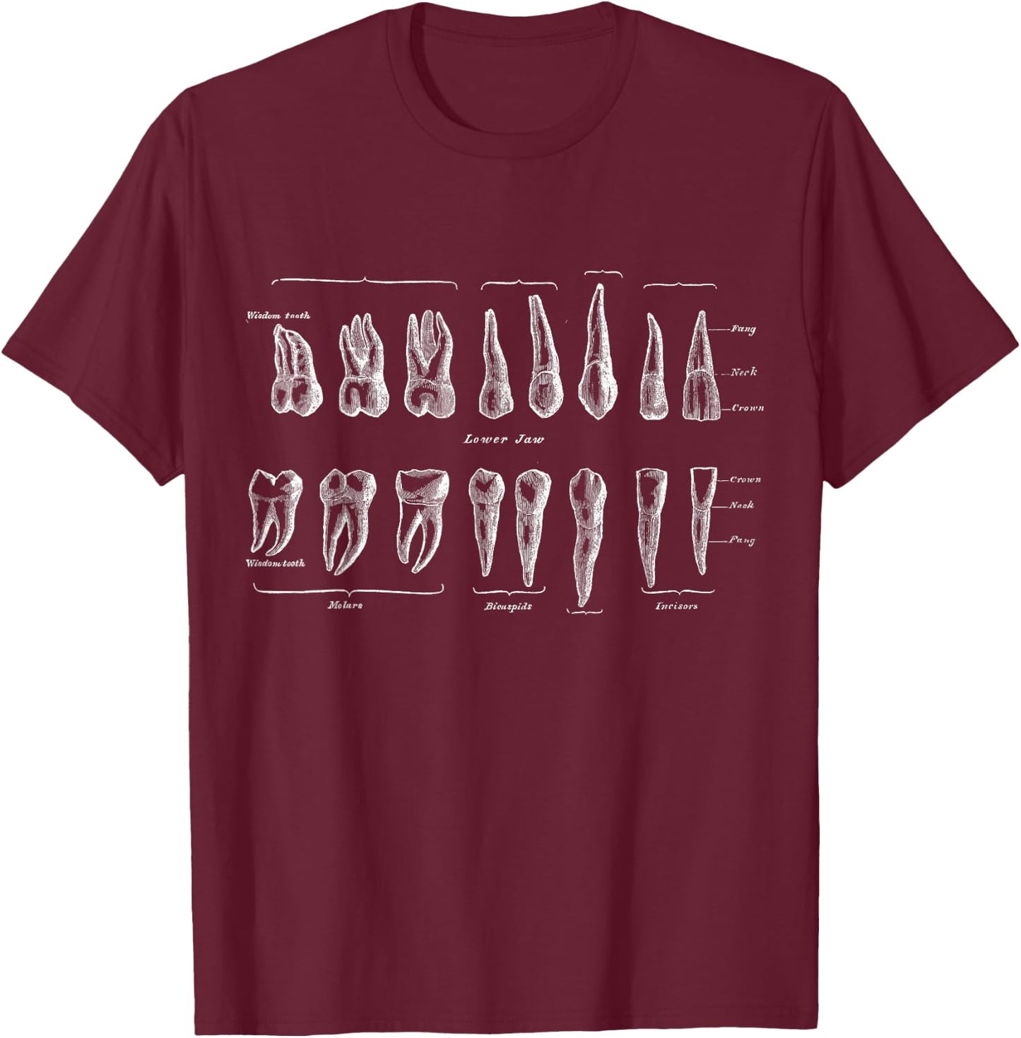 Human Teeth Dental Vintage Anatomy Retro Dentistry T-Shirt - T-Shirt | Maroon