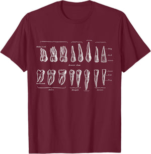 Human Teeth Dental Vintage Anatomy Retro Dentistry T-Shirt - T-Shirt | Maroon