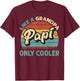 Papi Like A Grandpa Only Cooler Vintage Dad Fathers Day T-Shirt - T-Shirt | Maroon