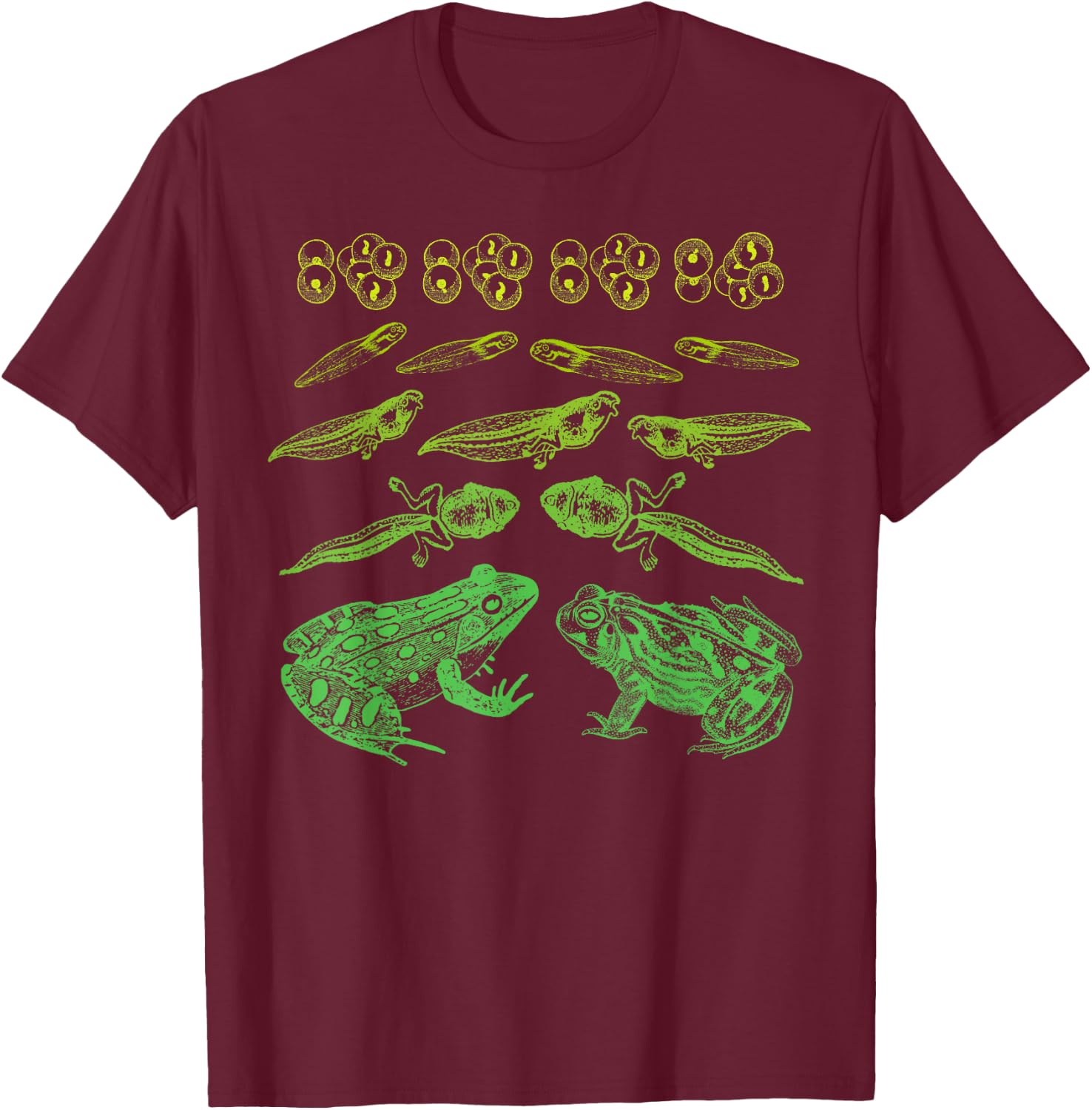 Frog Tadpole Life Cycle Biology Teacher Vintage Science T-Shirt - T-Shirt | Maroon