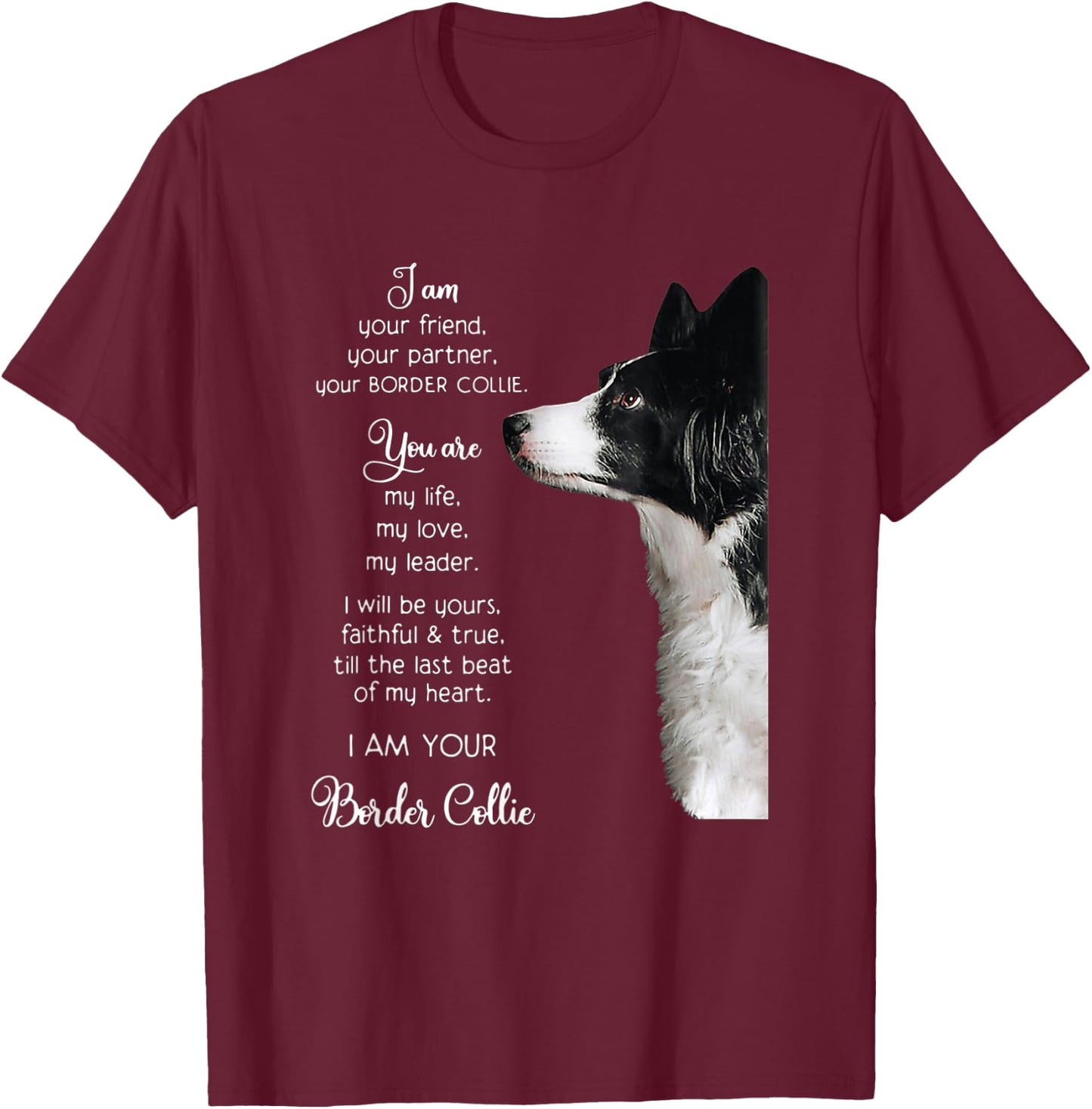 Funny I Am Your Friend Your Partner Your Border Collie Gift T-Shirt - T-Shirt | Maroon