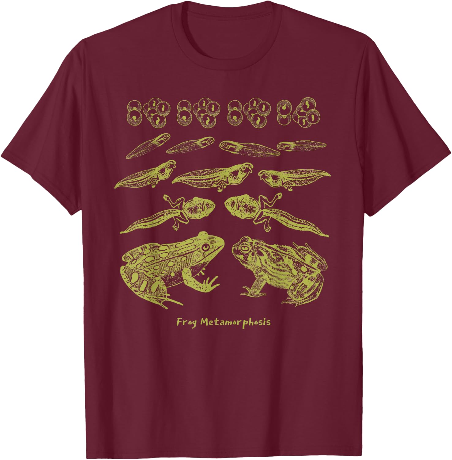 Frog Tadpole Life Cycle Biology Teacher Vintage Science T-Shirt - T-Shirt | Maroon
