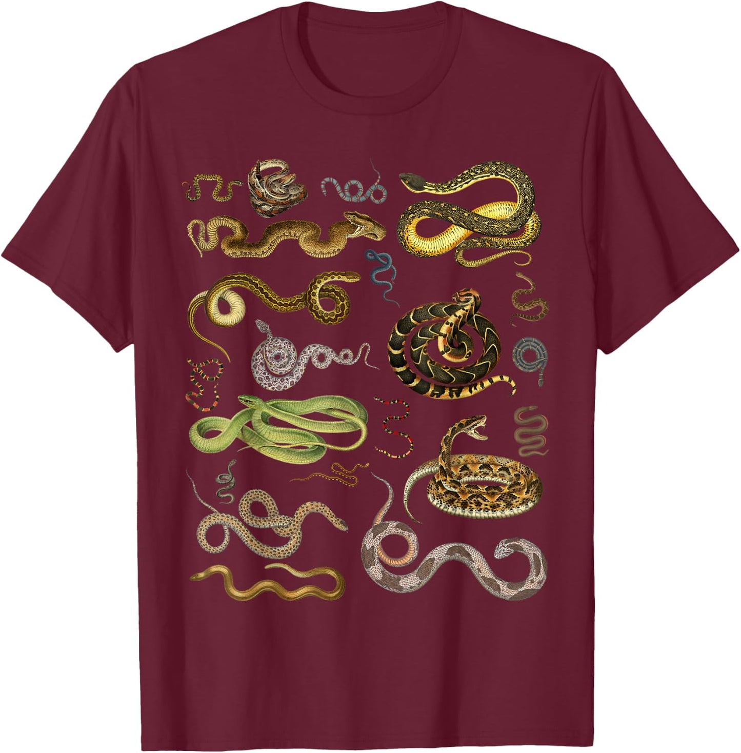 Types Of Snakes Herpetologist Educational Kids Boys Girls T-Shirt - T-Shirt | Maroon