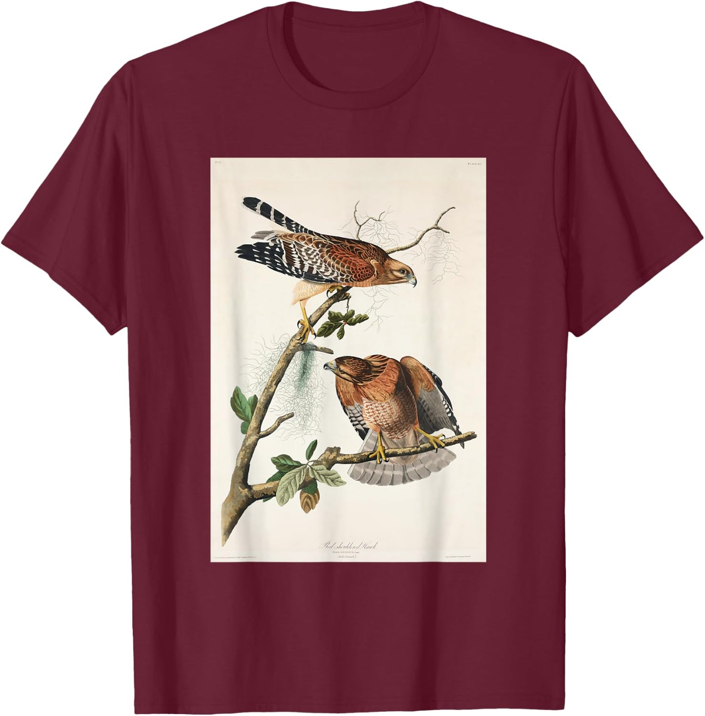 Vintage Red-Shouldered Hawks Birds Illustration Men & Women T-Shirt - T-Shirt | Maroon