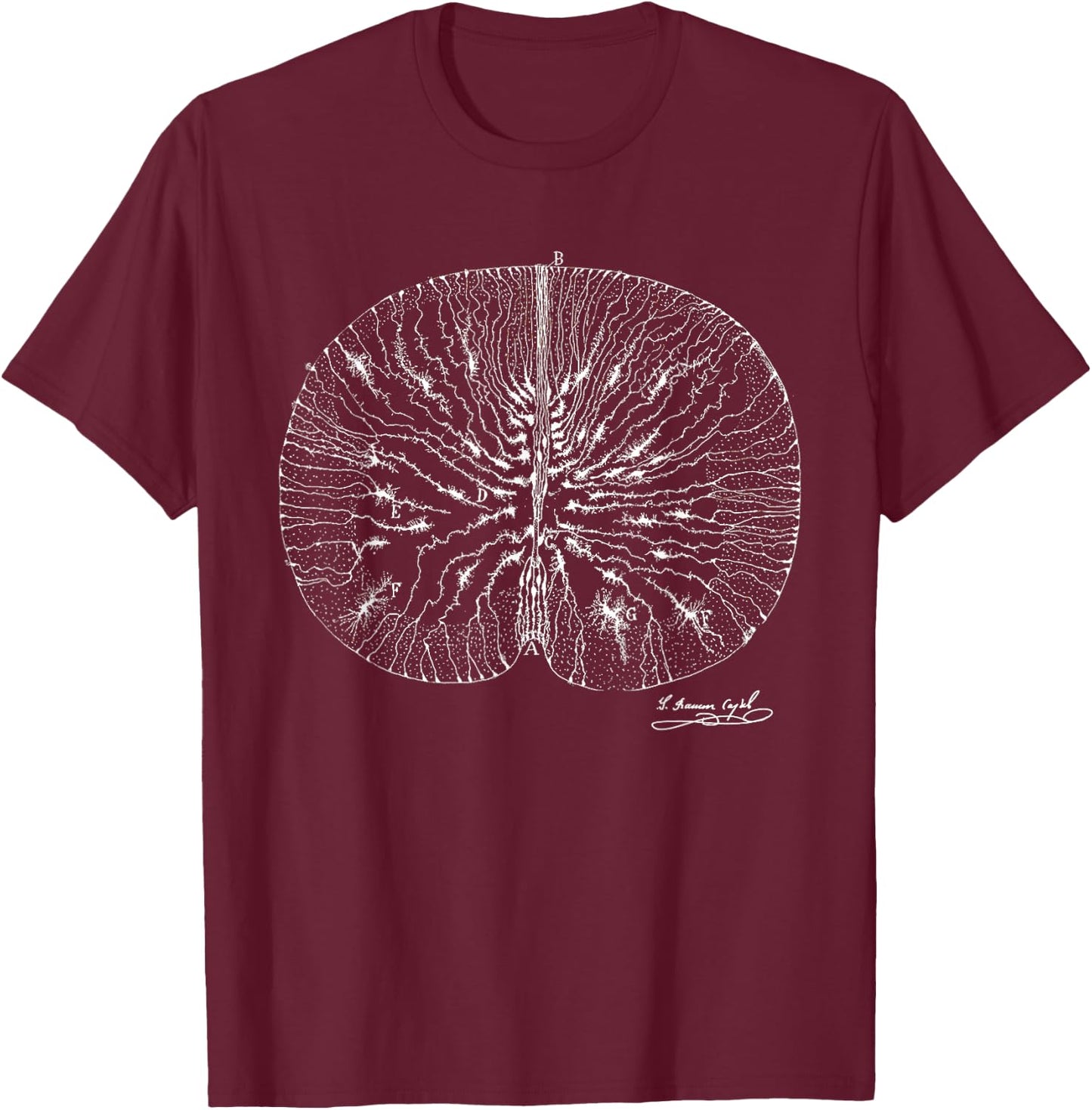 Brain Neuron Ramon y Cajal Illustration T-Shirt - T-Shirt | Maroon