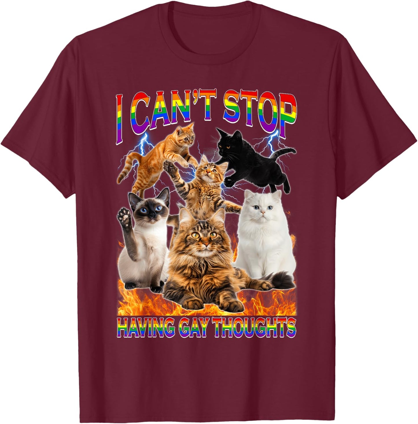 I Can't Stop Having Gay Thoughts Funny Cat LGBTQ Pride Month T-Shirt - T-Shirt | Maroon