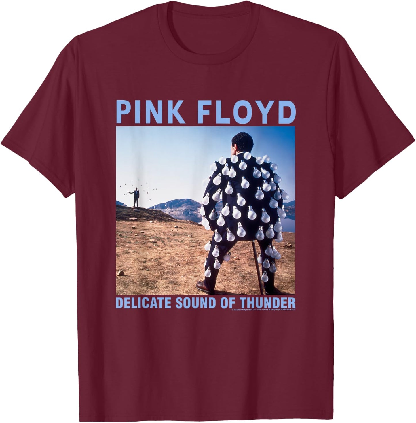 Pink Floyd Delicate Sound T-Shirt - T-Shirt | Maroon