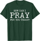 Christian Prayer For You Jesus or Faith How Can I Pray T-Shirt - T-Shirt | Forest