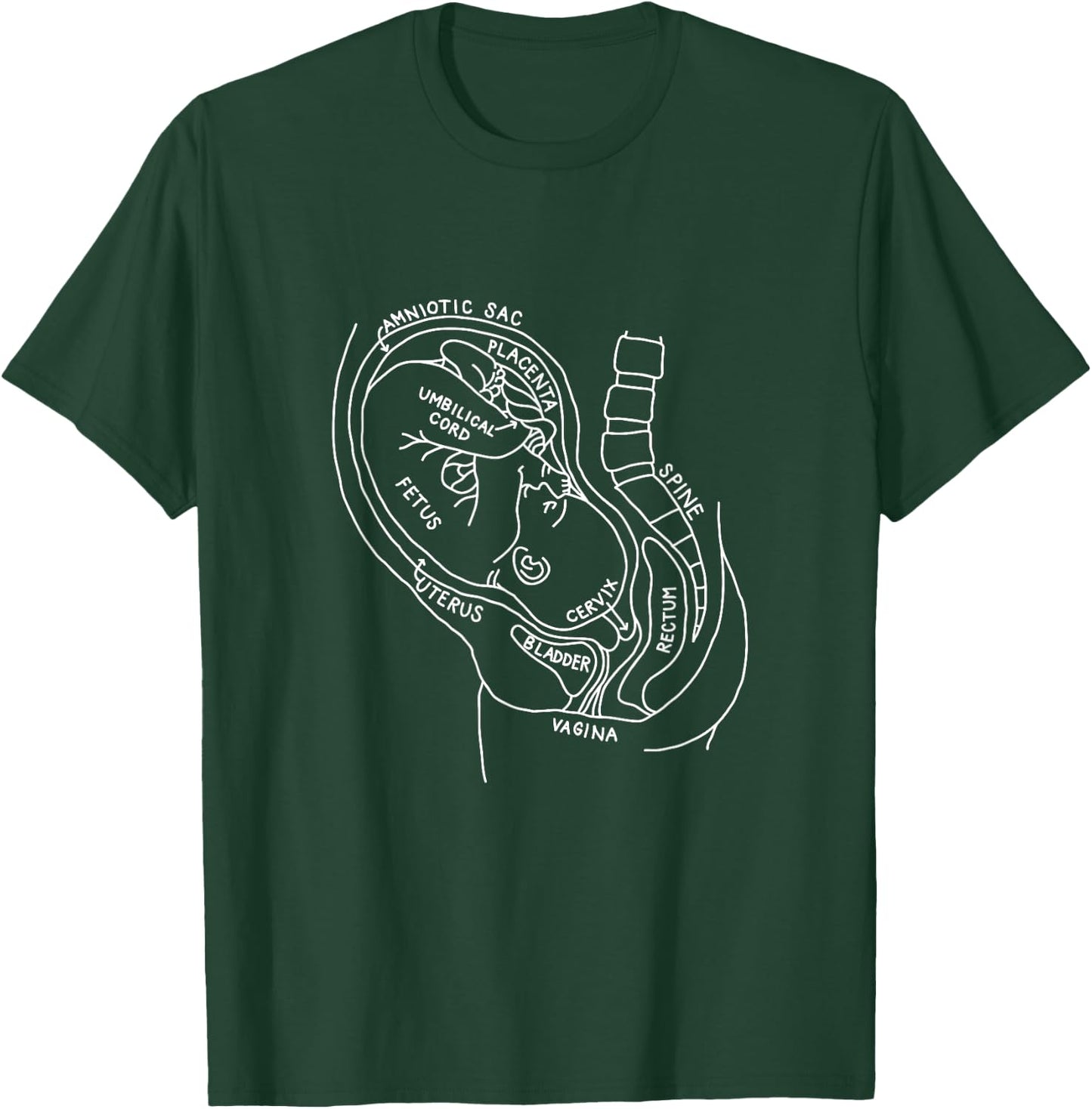 Pregnancy Anatomy Doula Midwife Mom Obstetrician OB GYN T-Shirt - T-Shirt | Forest