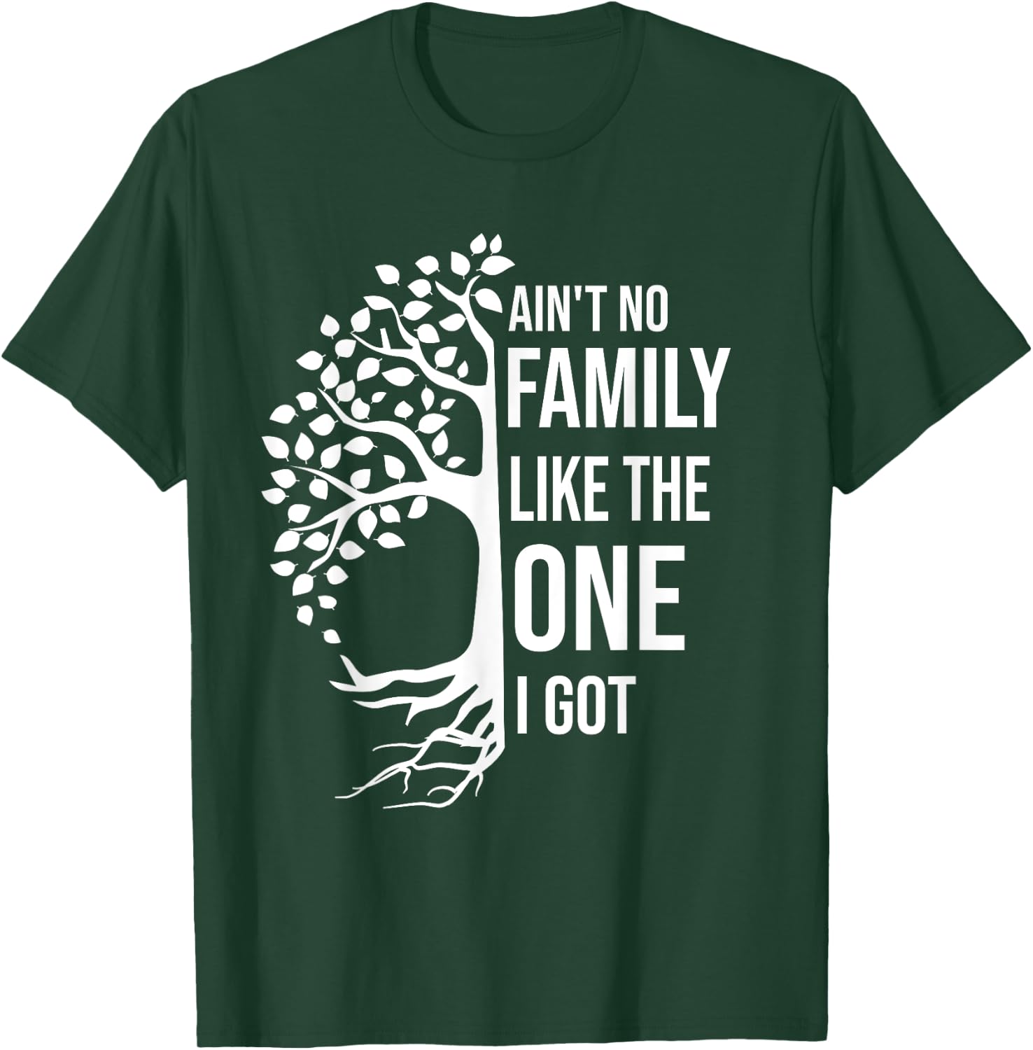 Ain't No Family Like The One I Got Funny Family Reunion 2025 T-Shirt - T-Shirt | Forest