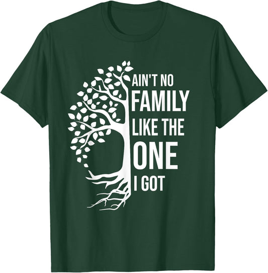 Ain't No Family Like The One I Got Funny Family Reunion 2025 T-Shirt - T-Shirt | Forest