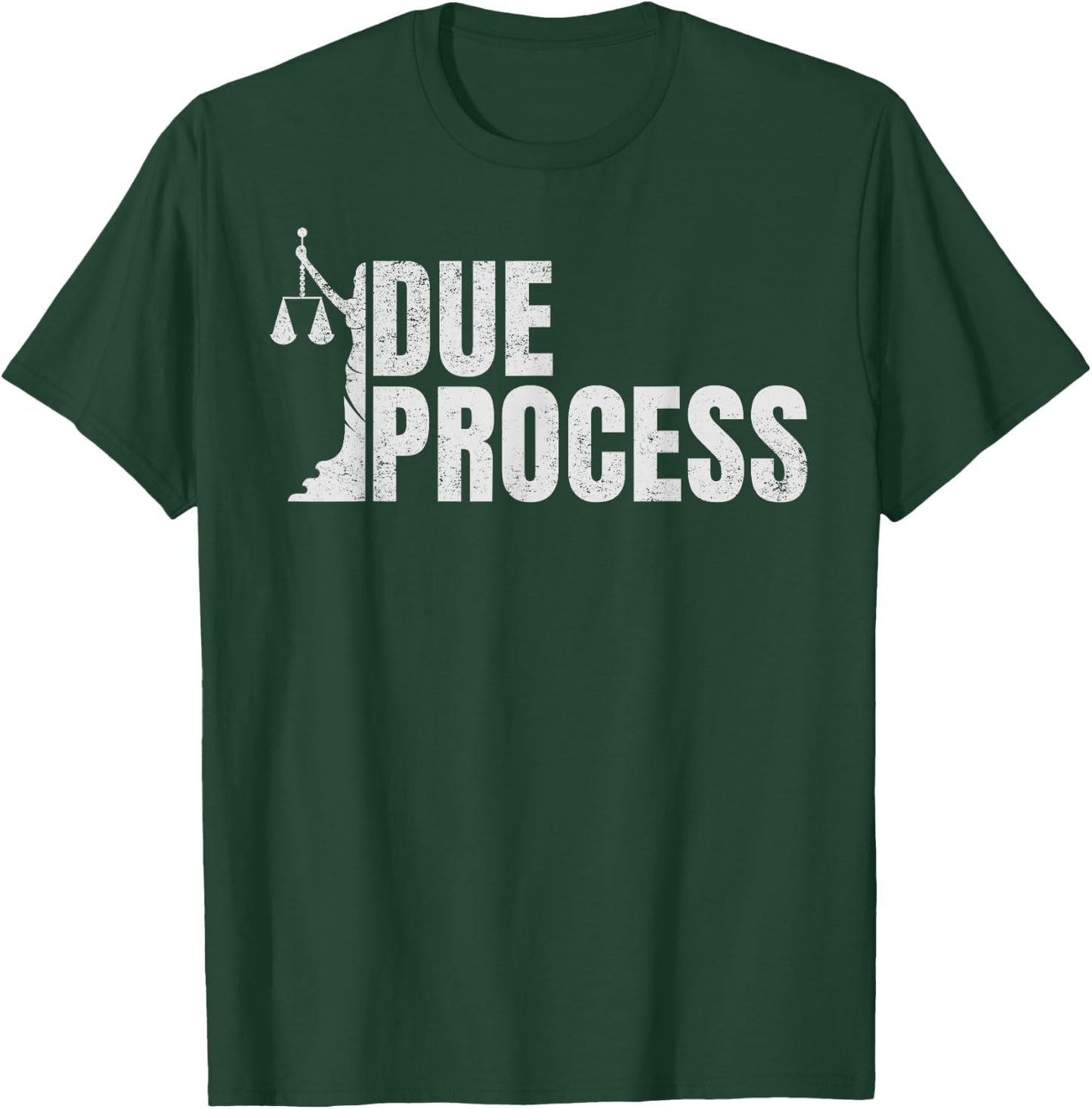 Process Due all Legal Rights Lawyer for Civil Rights Lawyers T-Shirt - T-Shirt | Forest