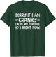 Sorry If I Am Cranky I'm In My Terrible 80's Right Now T-Shirt - T-Shirt | Forest