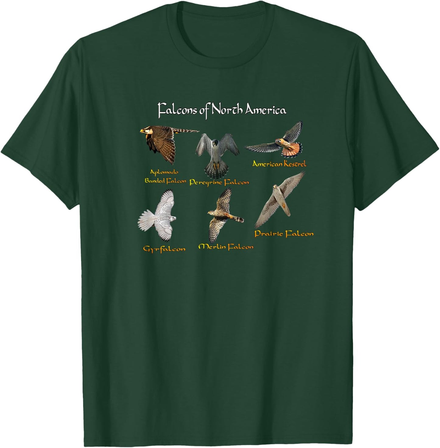 Types of Falcons T-Shirt - T-Shirt | Forest