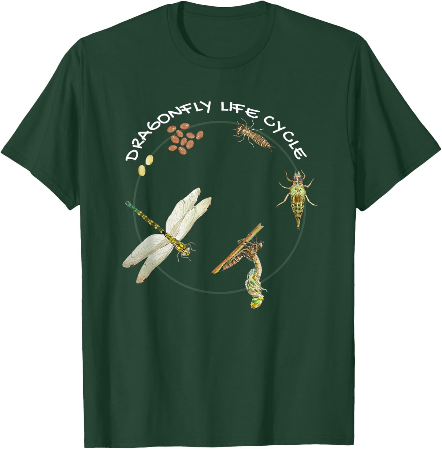Dragonfly Life Cycle Facts 3 Stages Insect Development T-Shirt - T-Shirt | Forest