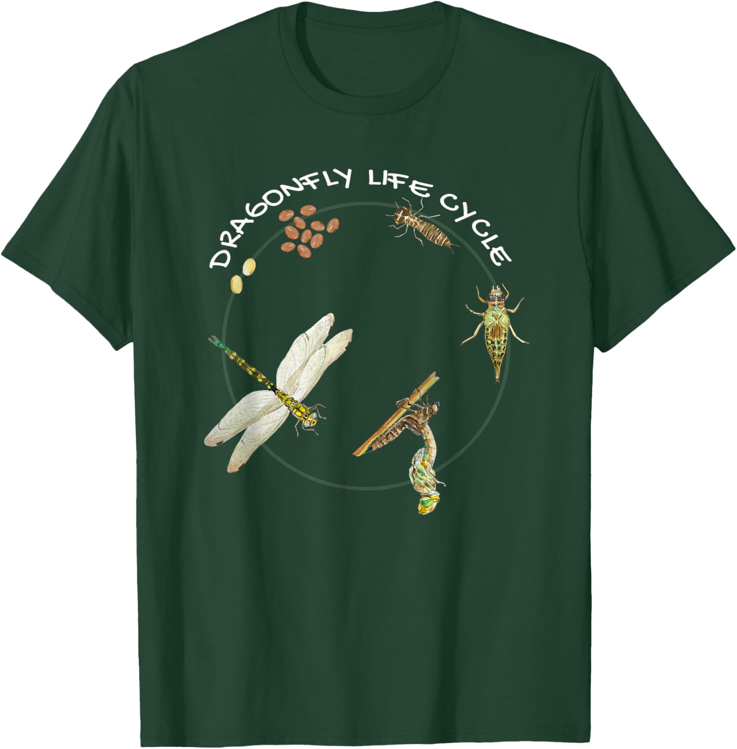 Dragonfly Life Cycle Facts 3 Stages Insect Development T-Shirt - T-Shirt | Forest