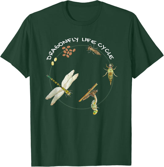Dragonfly Life Cycle Facts 3 Stages Insect Development T-Shirt - T-Shirt | Forest