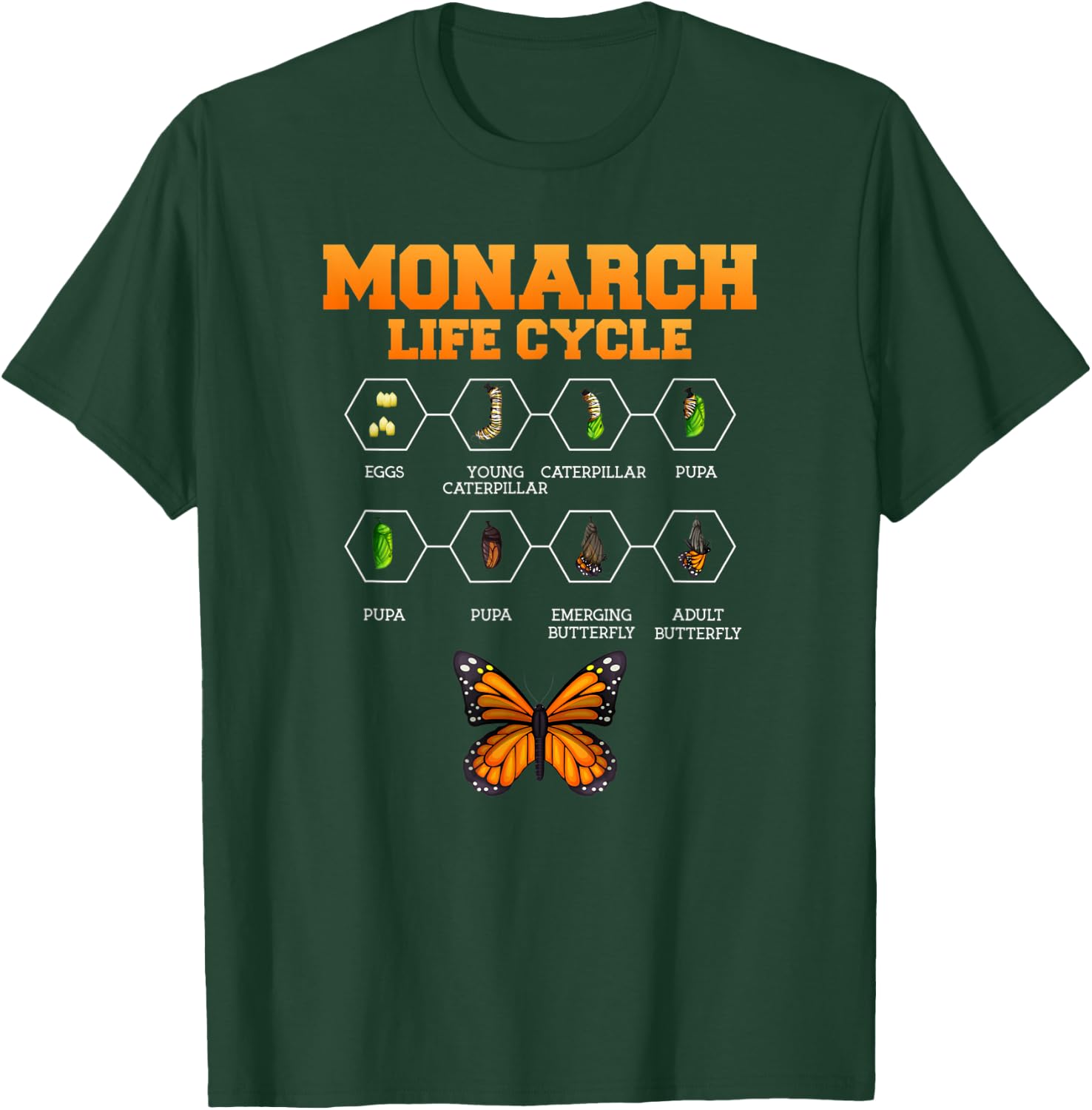 Monarch Butterfly Life Cycle Butterflies Nature Lover T-Shirt - T-Shirt | Forest