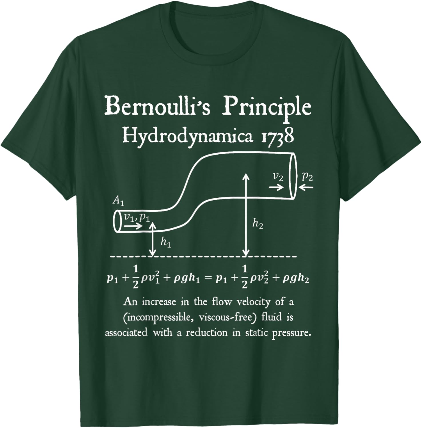 Nerdy Vintage Bernoulli's Principle Physics Math Teacher T-Shirt - T-Shirt | Forest