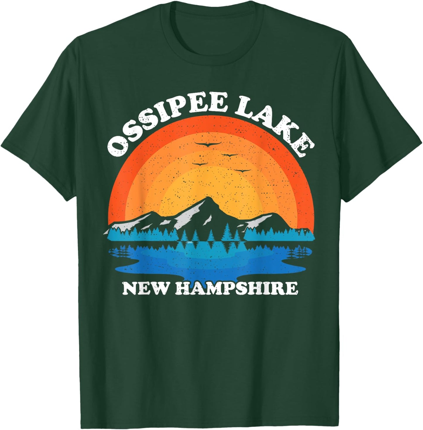 Vintage Family Vacation Retro New Hampshire Ossipee Lake T-Shirt - T-Shirt | Forest