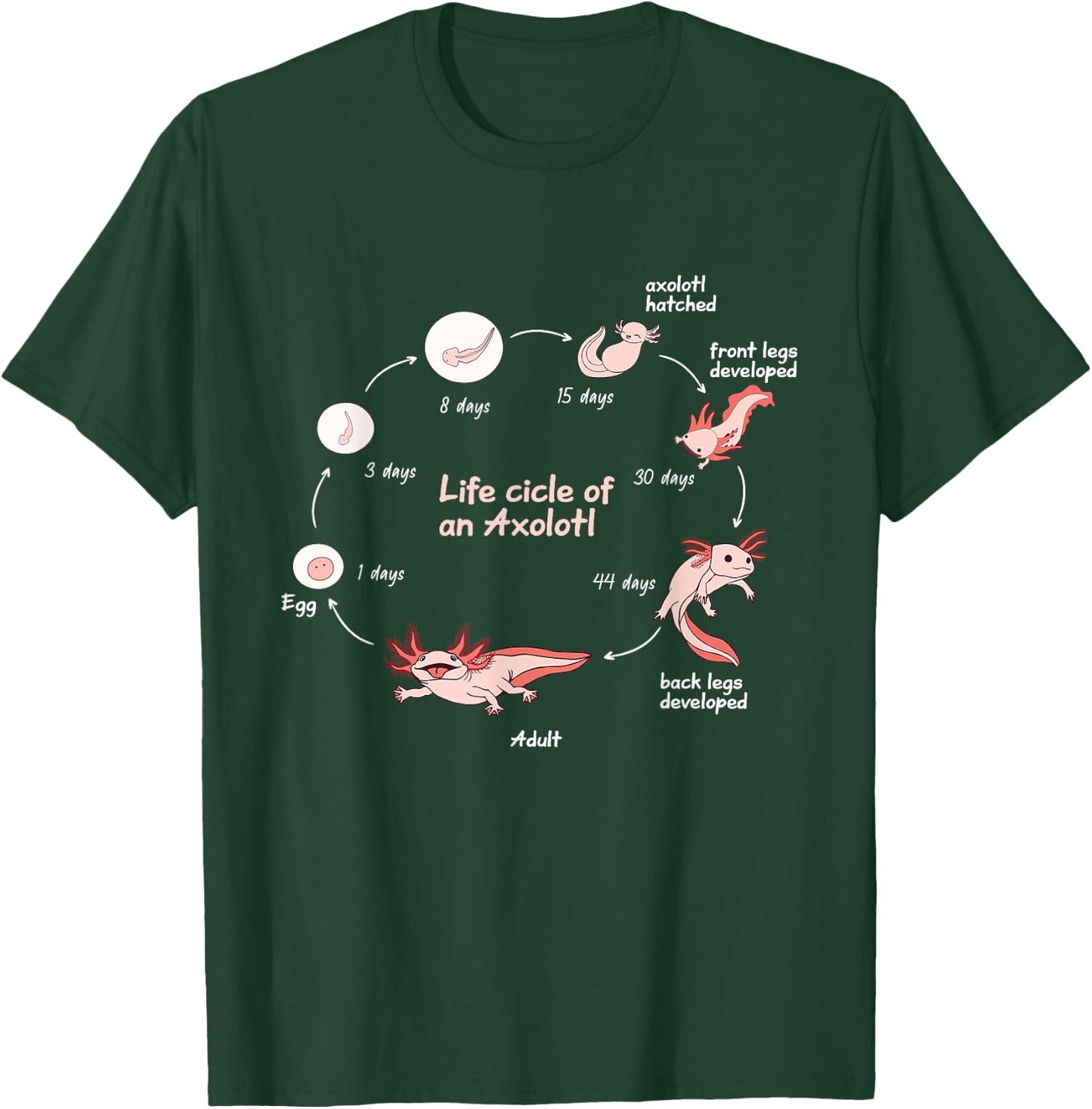Axolotl Lifecycle Chart Cute Kawaii Salamander Amphibian T-Shirt - T-Shirt | Forest