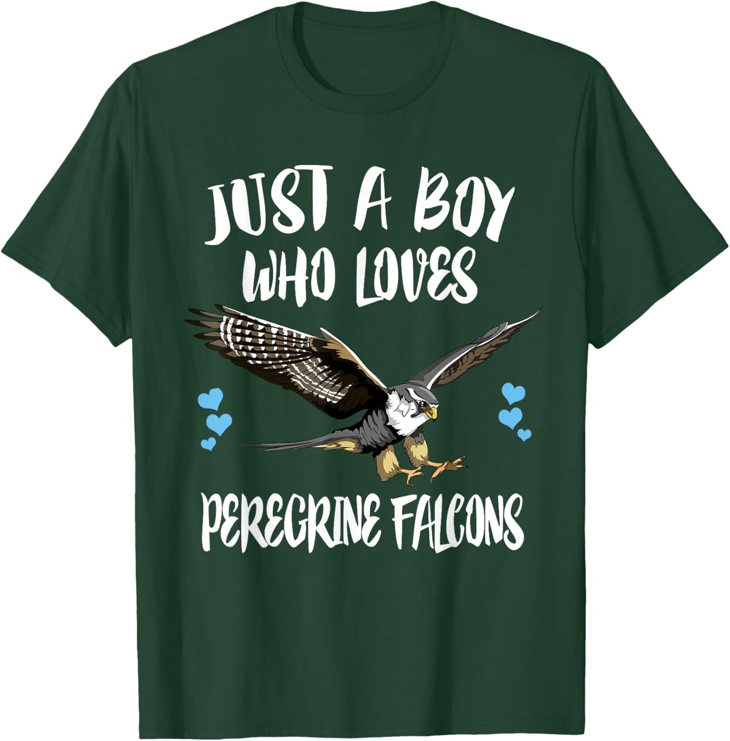Just A Boy Who Loves Peregrine Falcons Birds T-Shirt - T-Shirt | Forest