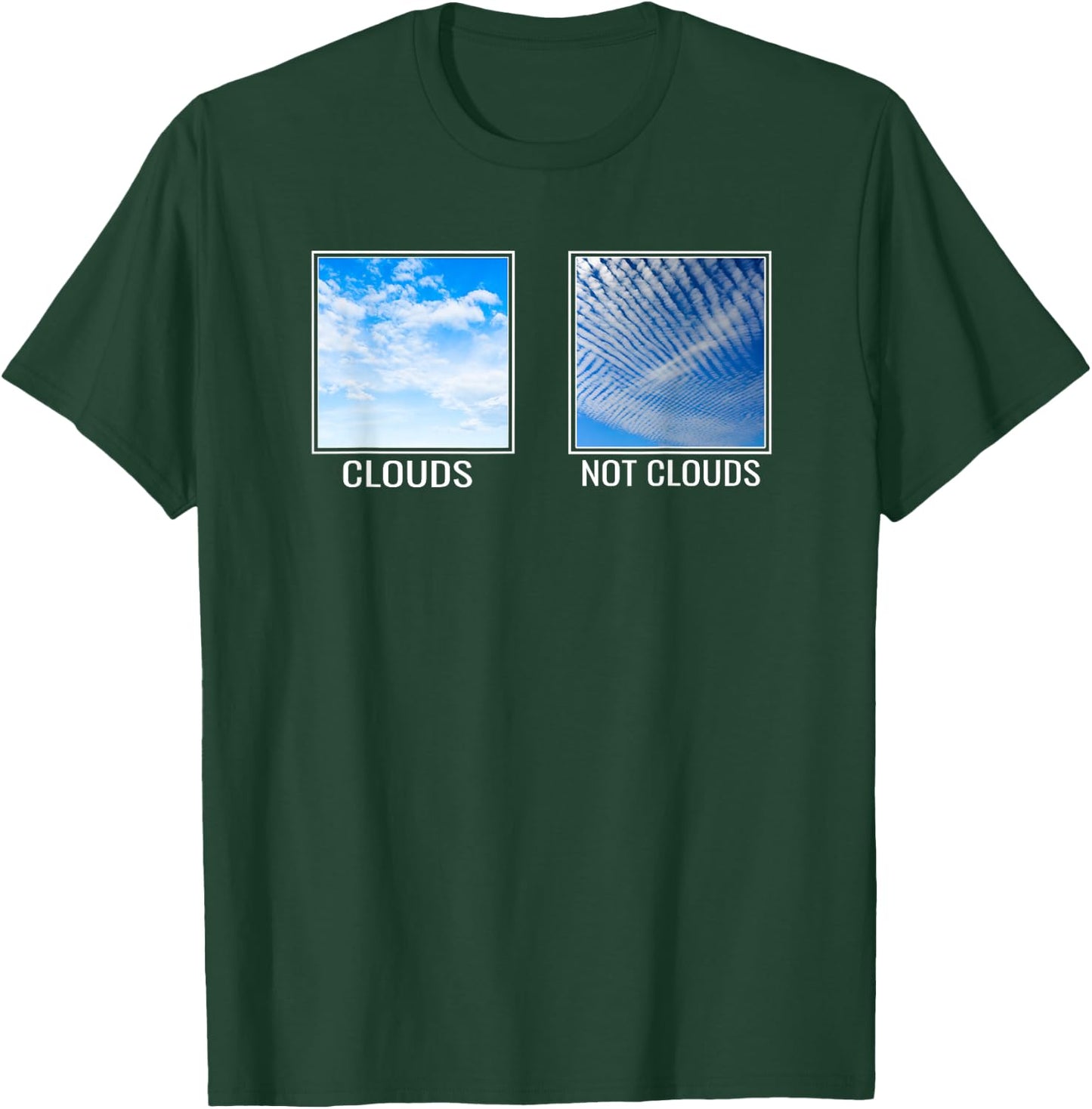 Chemtrails Awareness Aluminum Hat Conspiracy Theory T-Shirt - T-Shirt | Forest