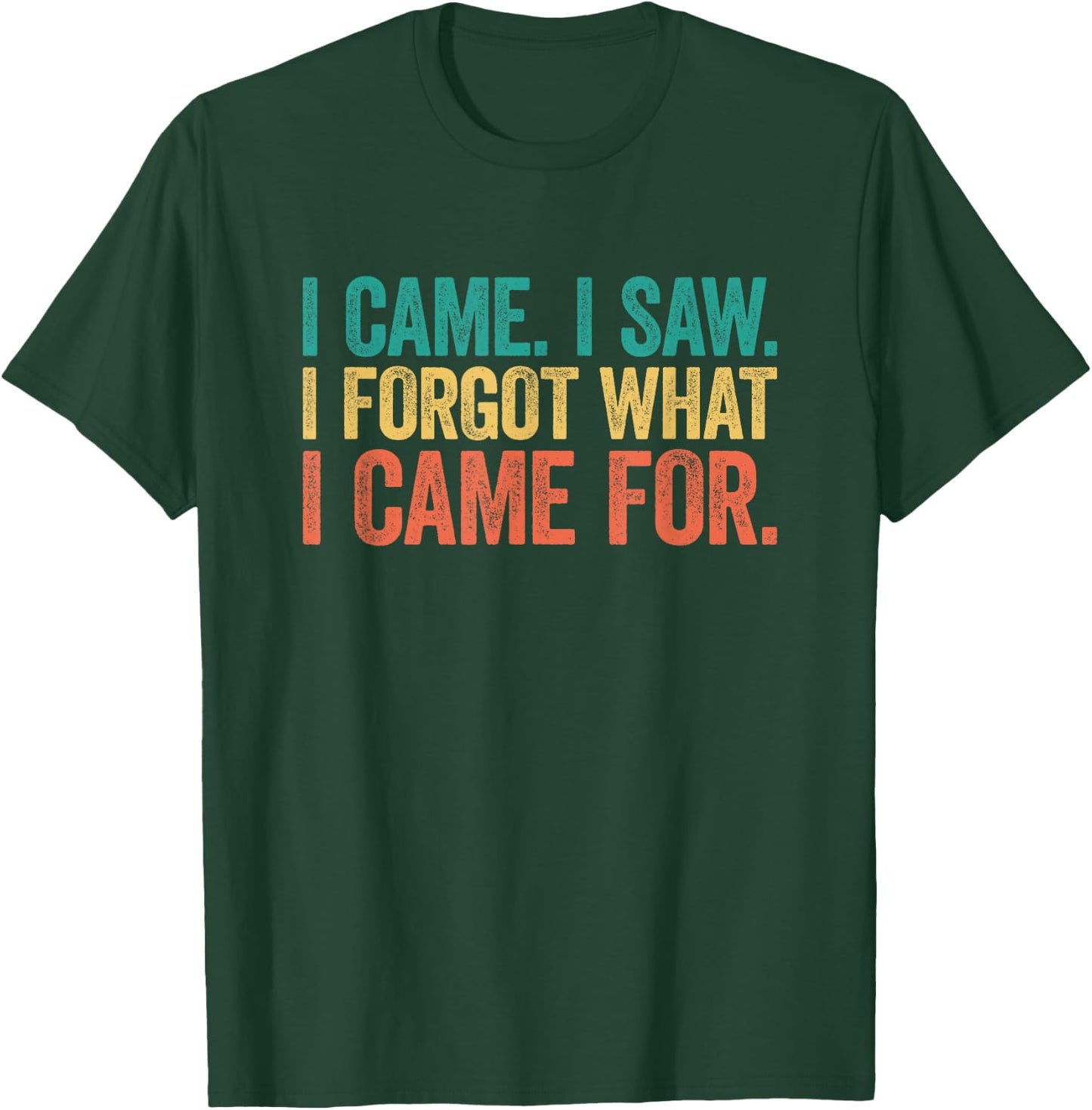 I Came I Saw I Forgot What I Came For T-Shirt - T-Shirt | Forest