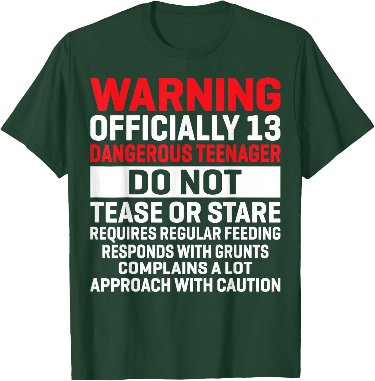 Warning Officially 13 Dangerous Teenagers 13th Birthday T-Shirt - T-Shirt | Forest