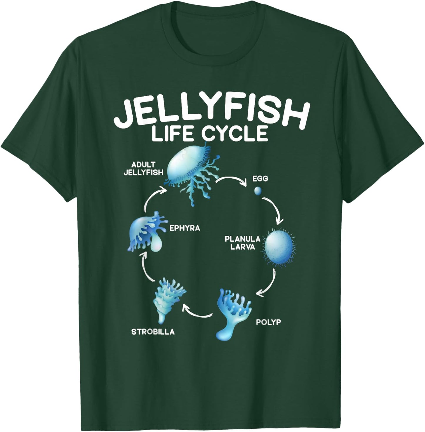 Jellyfish Life Cycle Animal Lover Jellyfish Season T-Shirt - T-Shirt | Forest