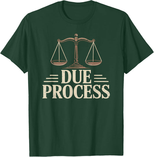 Due Process for All Legal Rights Civil Rights Lawyer T-Shirt - T-Shirt | Forest
