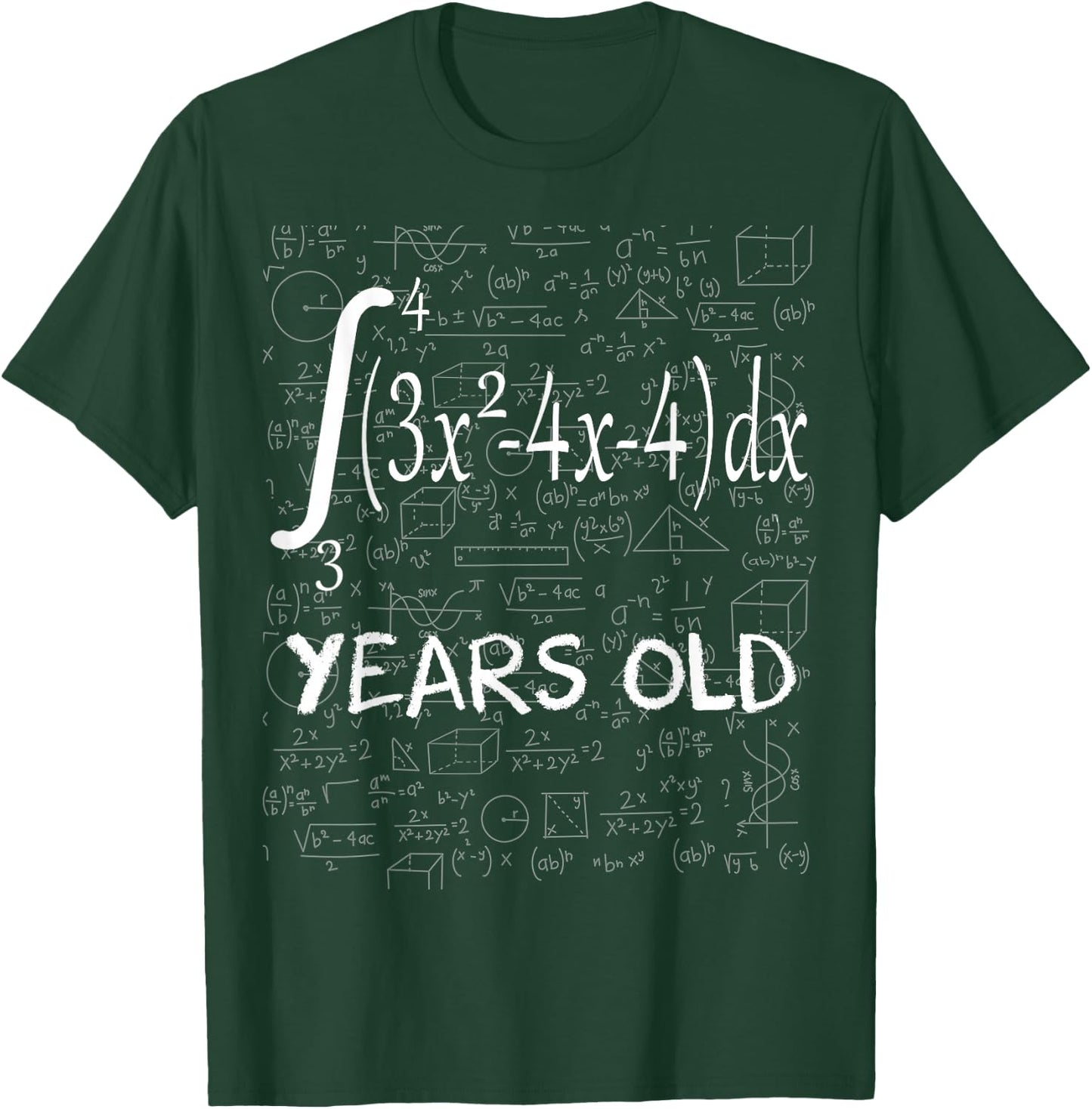 Funny Math Geek Integral Calculus 19th Birthday 19 Years Old T-Shirt - T-Shirt | Forest