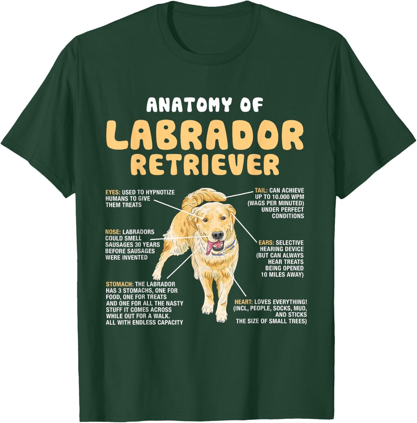 Anatomy Of Labrador Retriever Lovers Funny Lab Owners T-Shirt - T-Shirt | Forest