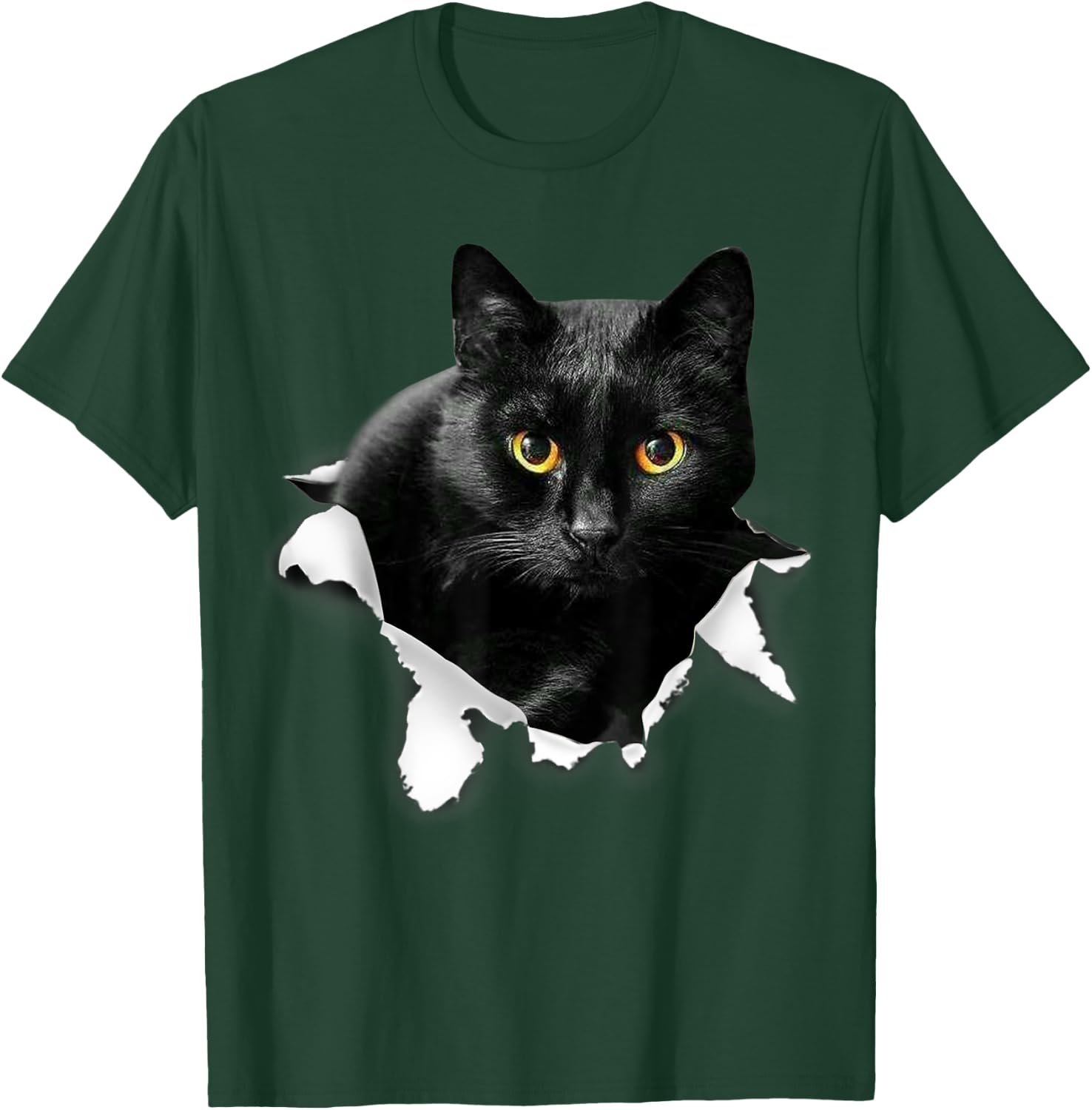 Black Cat Torn Cloth Gifts For Cat Lover, Cat Dad, Cat Mom T-Shirt - T-Shirt | Forest