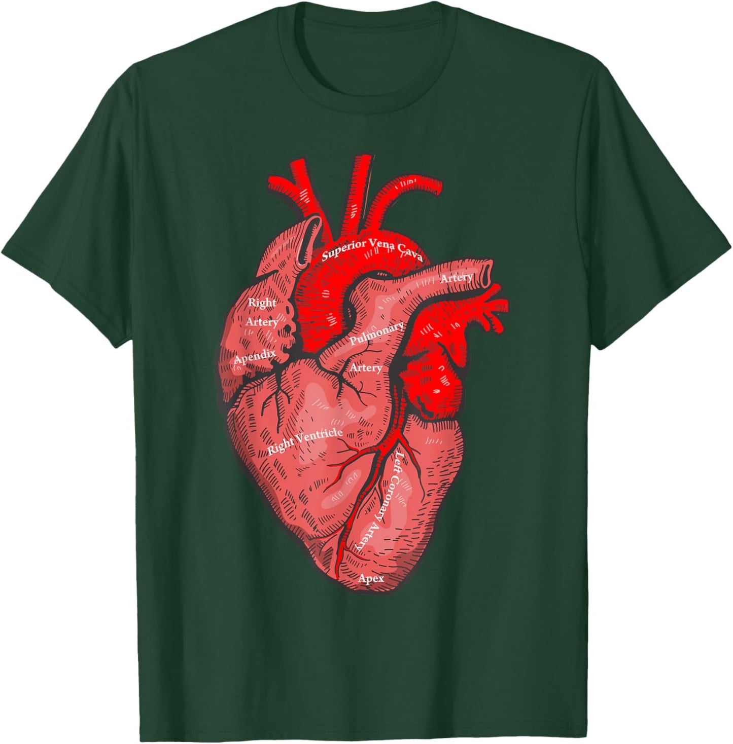 Medical Anatomy Illustration Human Heart Anatomical Themed T-Shirt - T-Shirt | Forest