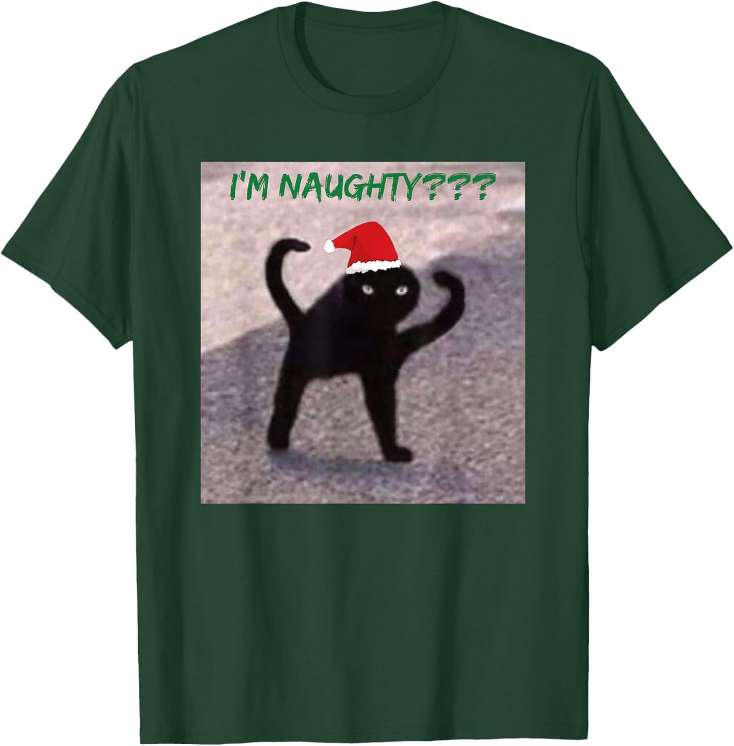 Cursed Cat Angry Meme I'm Naughty? Christmas Men Women Kids T-Shirt - T-Shirt | Forest