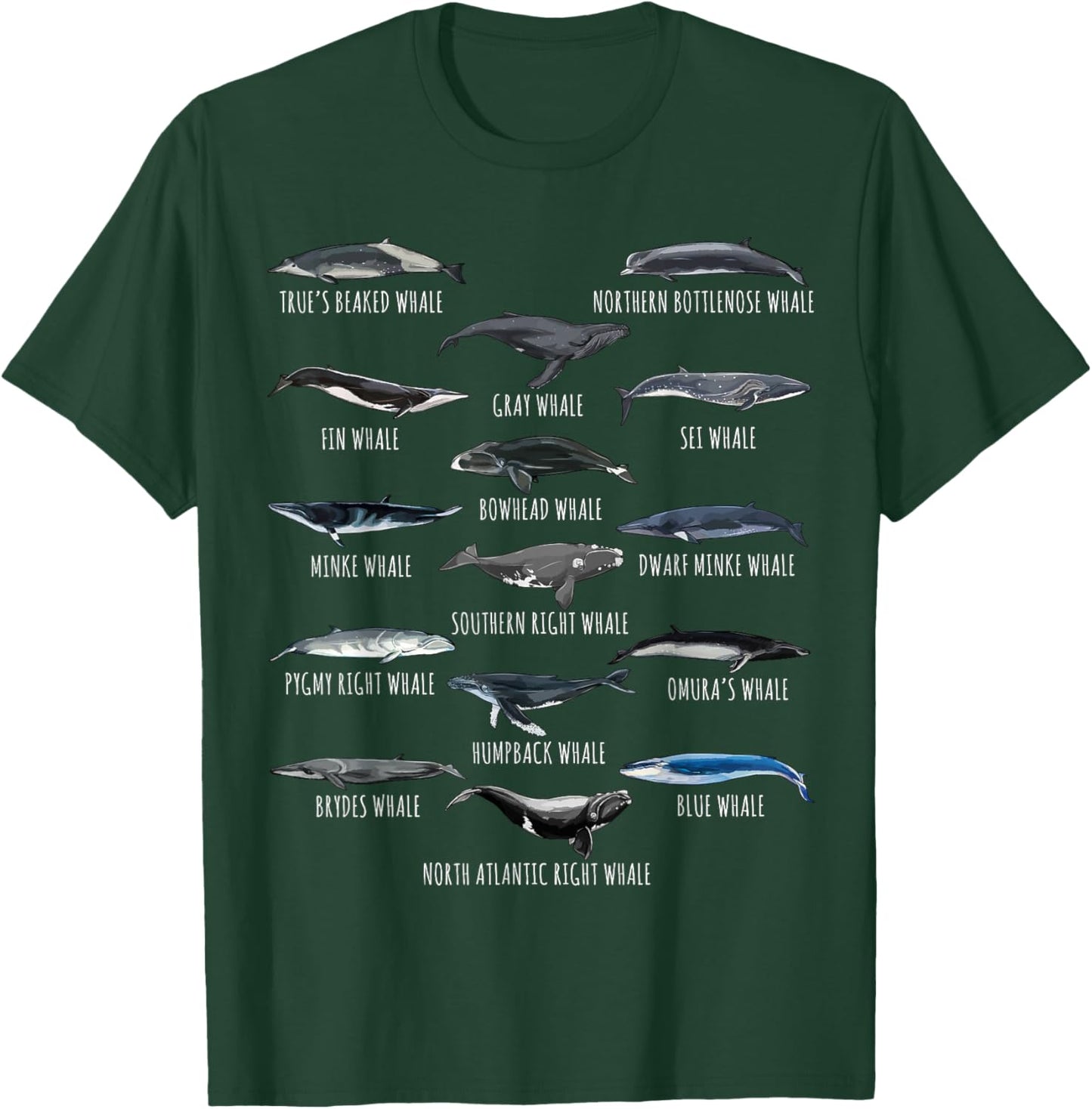 Different Whale Species Biology Types Of Whales T-Shirt - T-Shirt | Forest