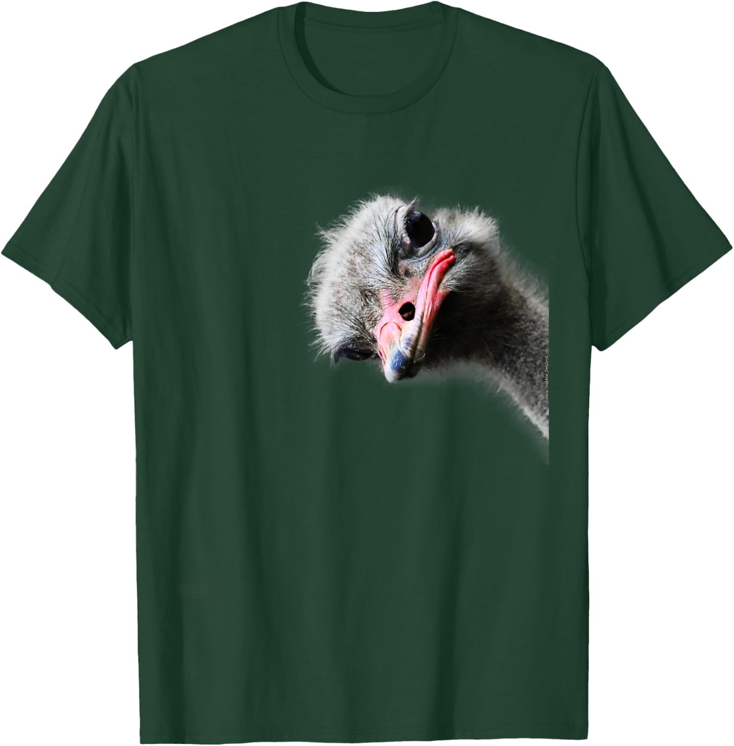 Dibble Dabble Designs Funny Ostrich Lovers and Emu Lovers , Black T-Shirt - T-Shirt | Forest